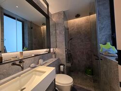 Cuscaden Reserve (D10), Condominium #580302451